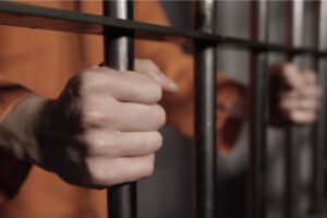 Criminal Defense Attorney