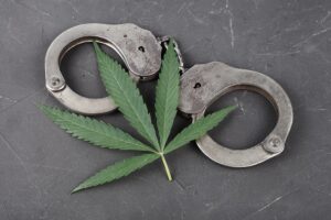cannabis