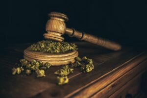 cannabis legalization