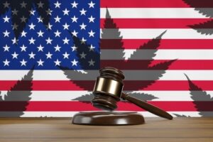 marijuana laws